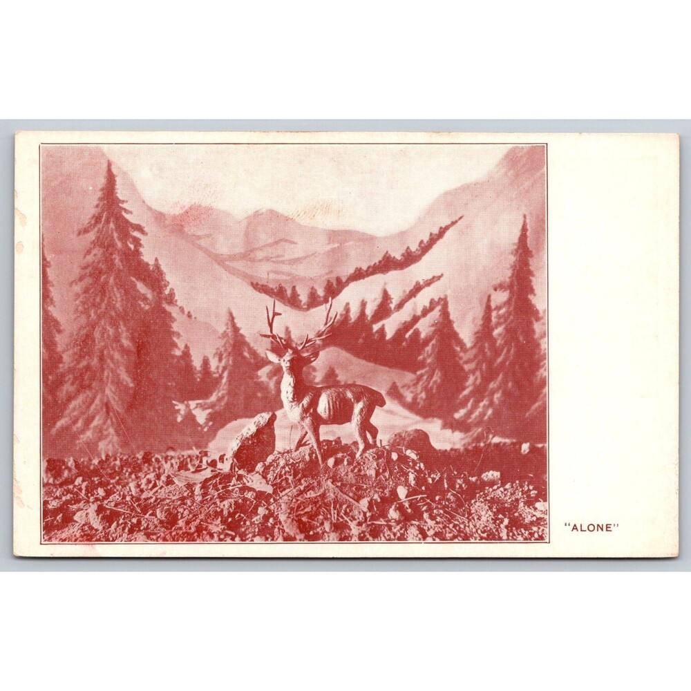 Vintage California Souvenir Postcard "ALONE" Elk/Deer Walt M. Reeves Artist